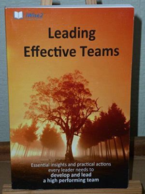  Lead Like a Pirate: A Practical Guide to Leading Teams and Organizations -  Ein Piratenkapitän im Gewand des Managers!